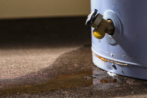 Best Water damage repair service  in USA